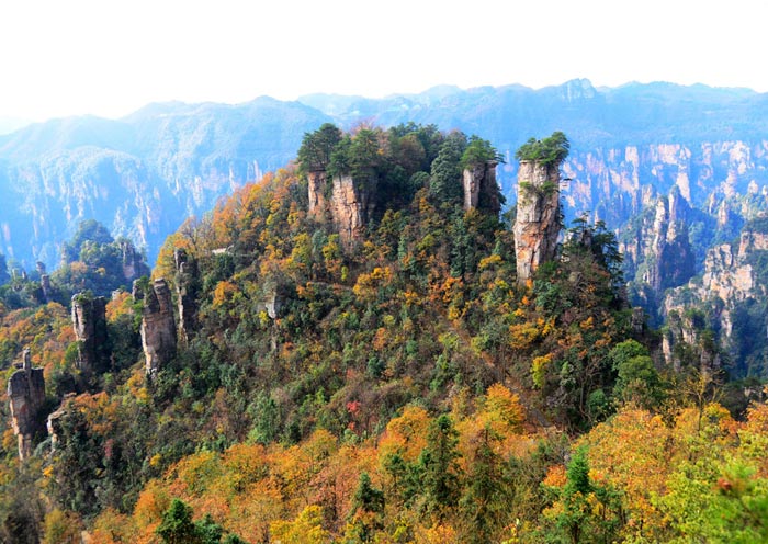 China Tour to Zhangjiajie