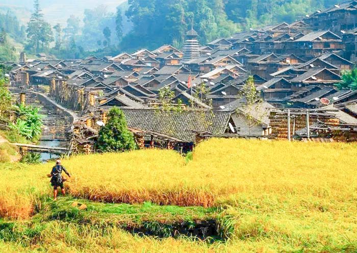 Zhanli Dong Village in Autumn