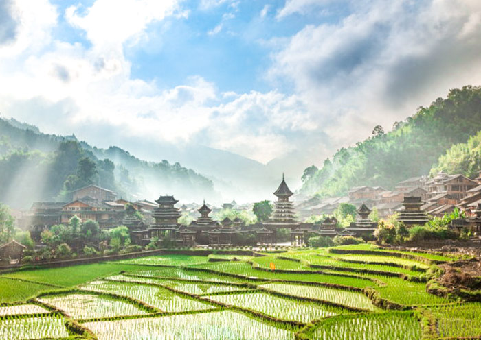 Zhaoxing Dong Village Terraced Fields