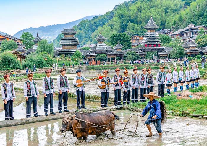 Farming in Zhaoxing Dong Village