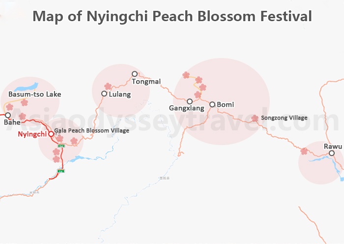 Nyingchi Peach Blossom Festival Map