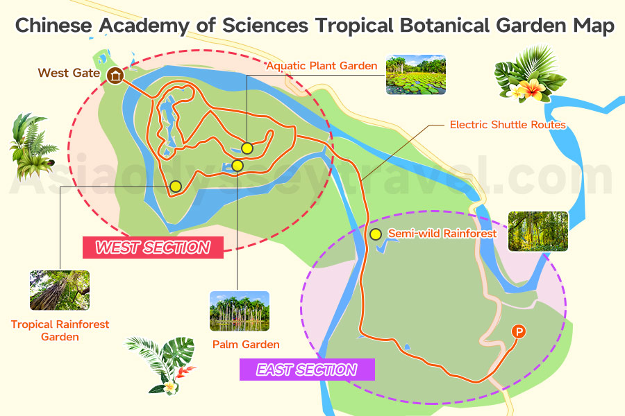 Xishuangbanna Botanical Garden layout map— West Area themed gardens, East Area rainforest, shuttle routes