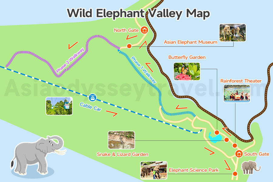 Wild Elephant Valley tourist map — entrance, cable car, walkways, and observation platforms