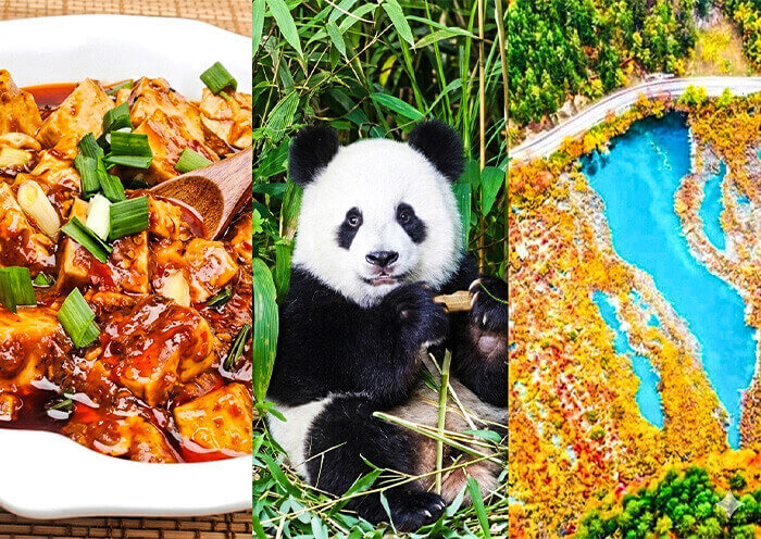Sichuan Food, Panda, Jiuzhai Valley