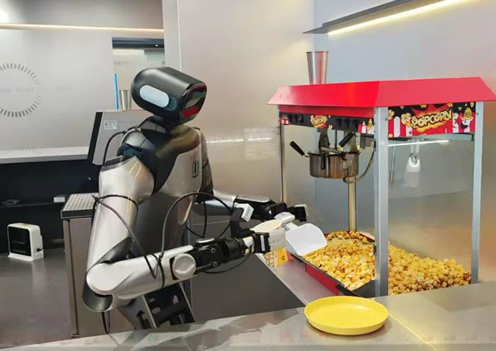 Hangzhou Six Tech Dragons Robots