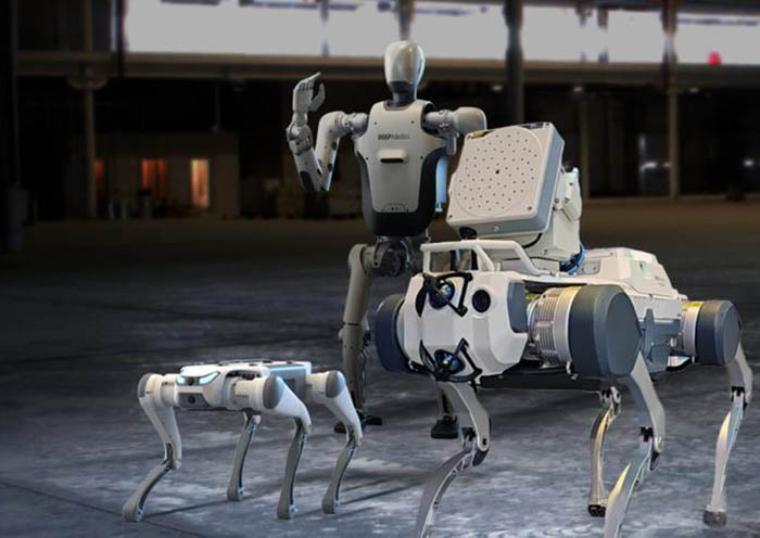 Hangzhou Six Tech Dragons Robots