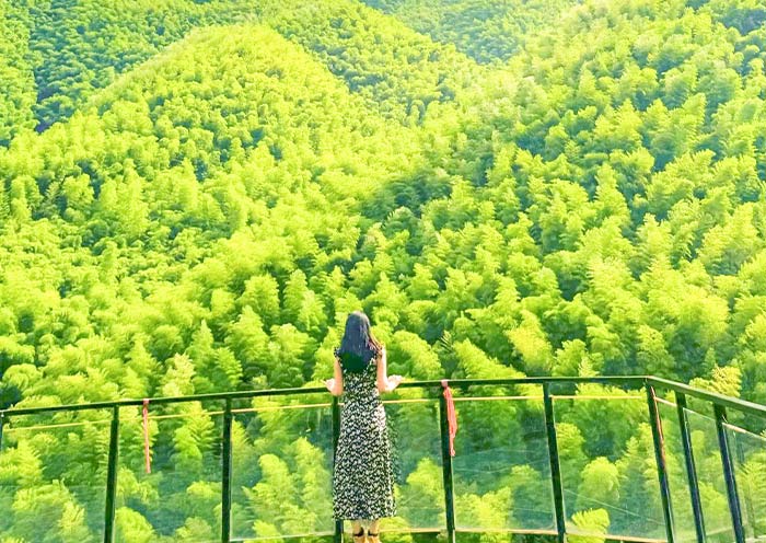 Biwu Longtan Bamboo Forest 