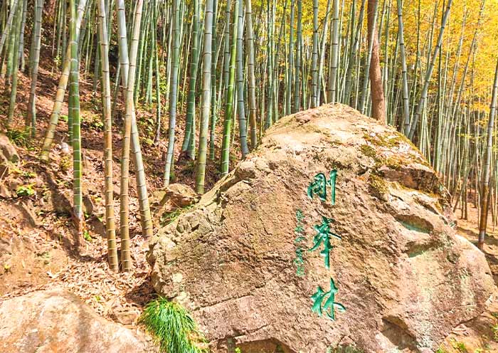 Qiandao Lake Longshan Island