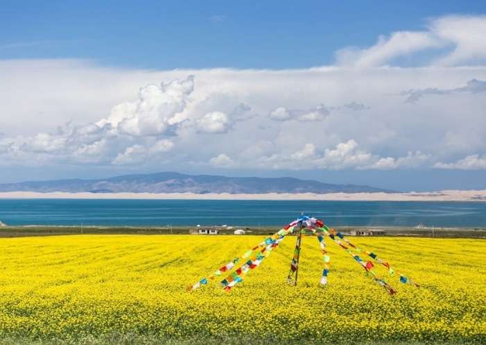 Visit Qinghai Lake in August