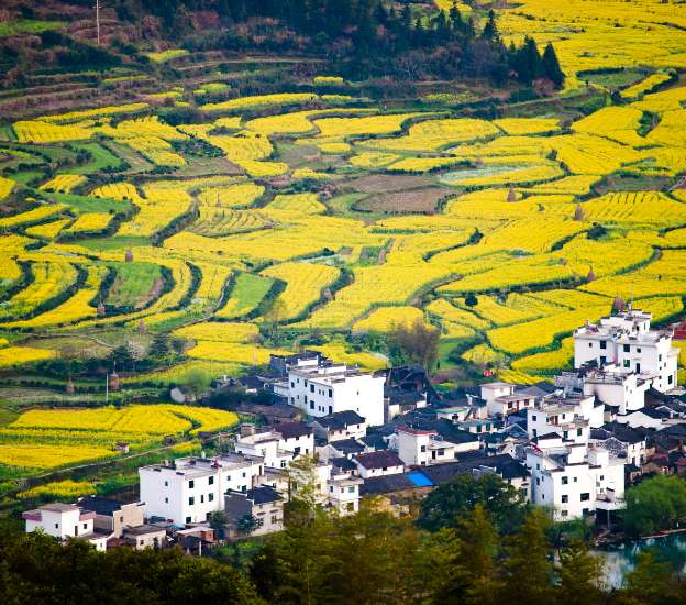 China Spring Tours in March