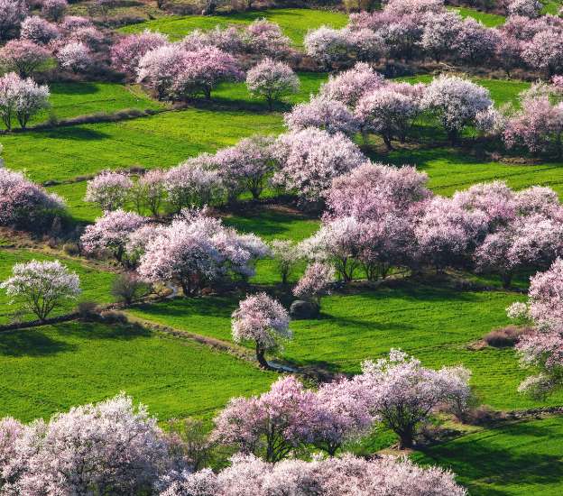 China Spring Tours in April