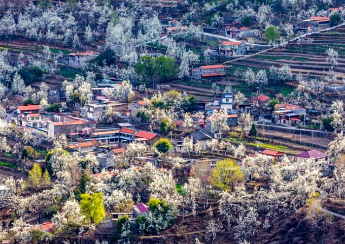 China Spring Tour to Jinchuan Valley in West Sichuan