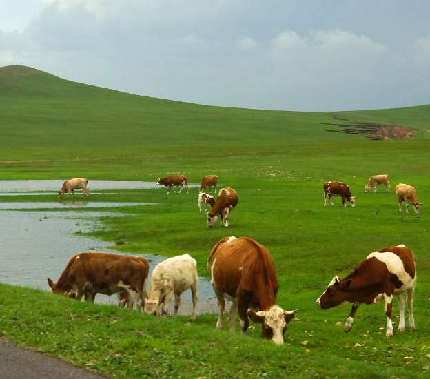 China Summer Tours in July