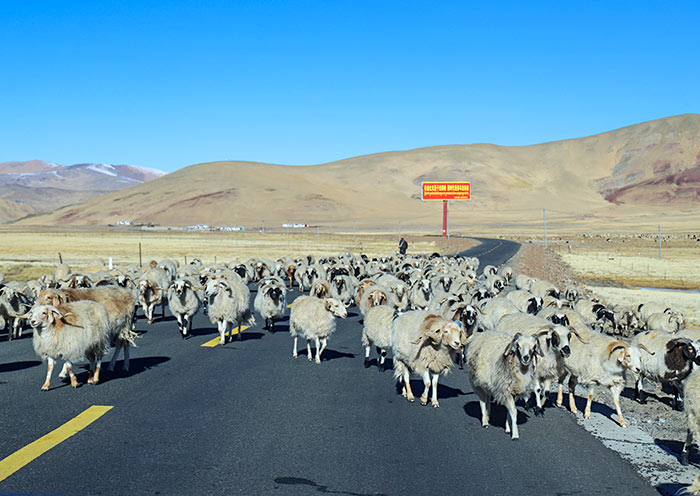 Tibet and Nepal Friendship Highway