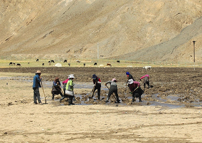 Tibet Mount Everest