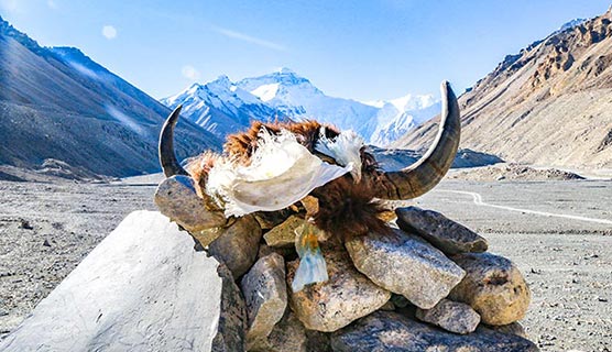 Tibet Tours to Mount Everest
