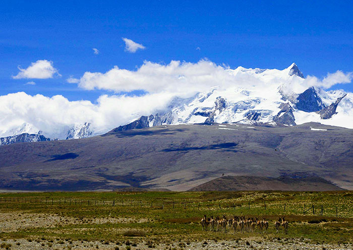 Mount Shishapangma Autumn View