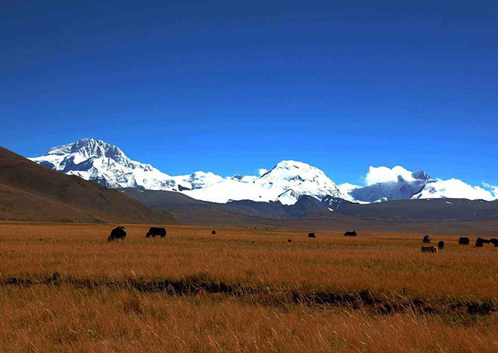 Mount Shishapangma, Tibet