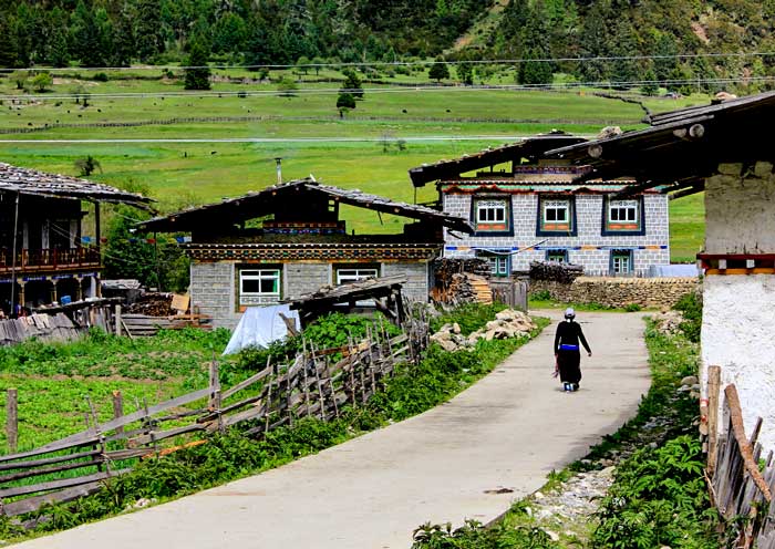 Lulang Forest is home to Tibetan villages and traditional Tibetan culture