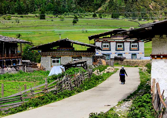 Lulang Forest is home to Tibetan villages and traditional Tibetan culture Lulang Forest is home to Tibetan villages and traditional Tibetan culture