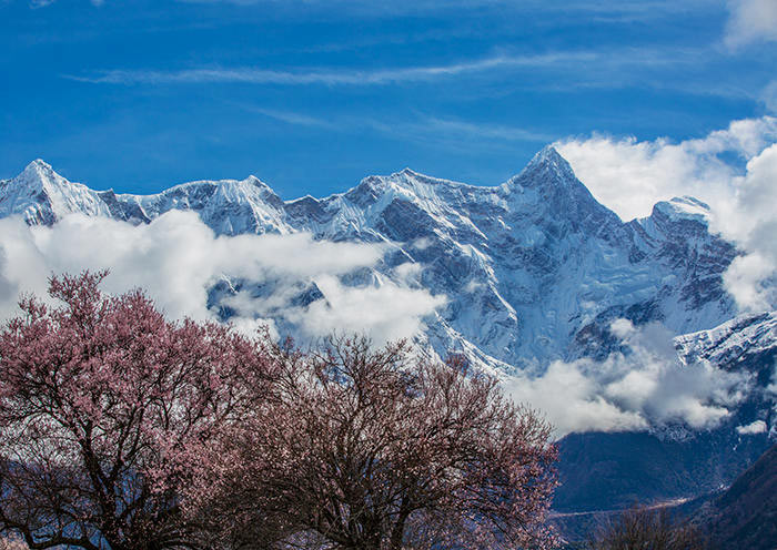 Tibet in April