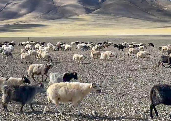 Landscape around Lake Selin Co