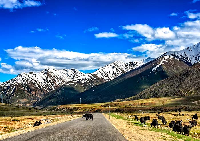 How to Plan Sichuan Tibet Trip via G318