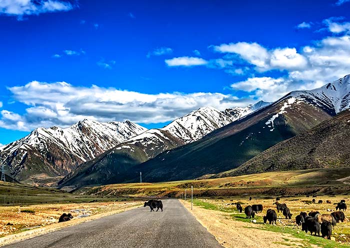 Basu County, Tibet