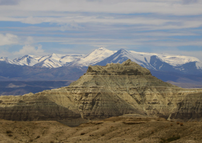 Zanda Earth Forest in Tibet