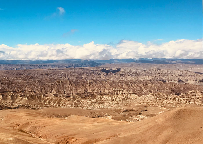 Zanda Earth Forest in Tibet