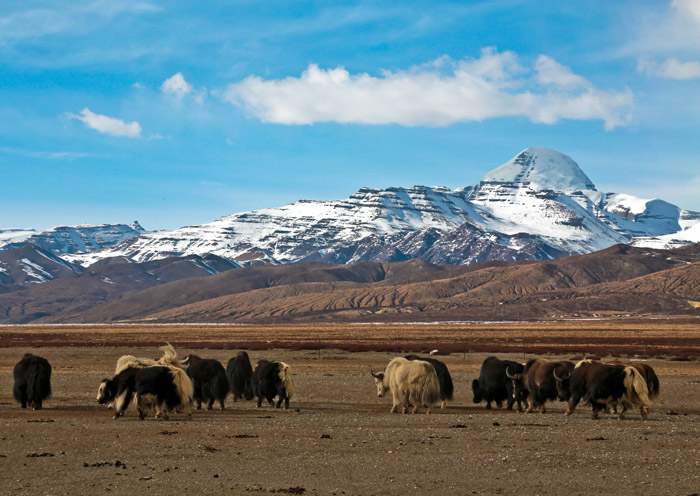 Mount Kailash tour