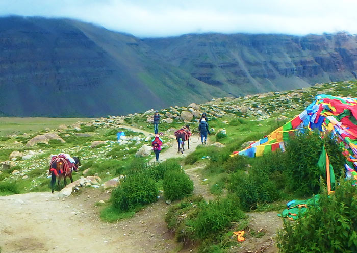 Mount Kailash Trekking in Summer Mount Kailash in Tibet