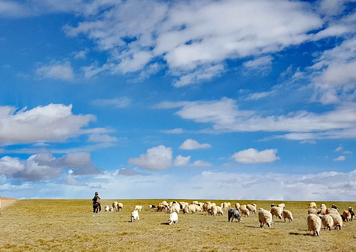 Tibet Train