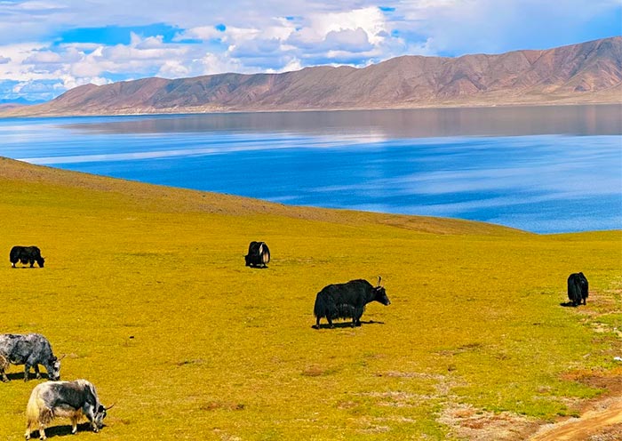Tong Tso Lake, Tibet