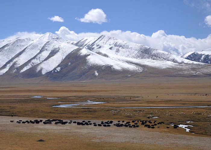 Mount Kailash tour