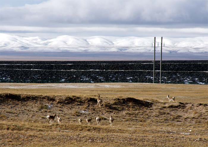 Tibet Tour