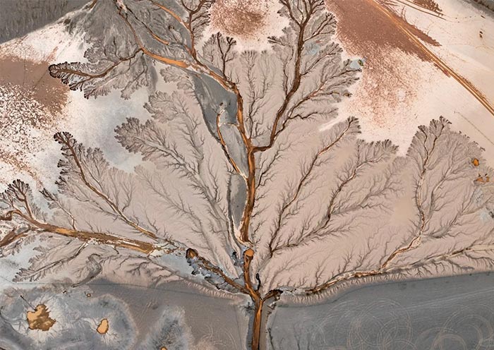 Tree of the Earth, Tibet