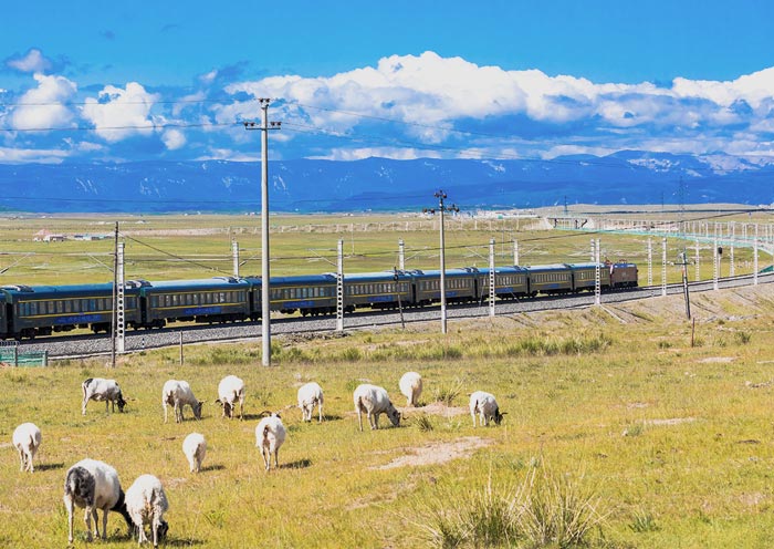 Chongqing to Lhasa Train: Schedule, Time & Price