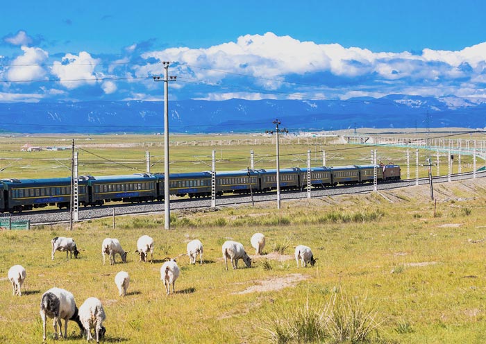 Train To Lhasa, Tibet