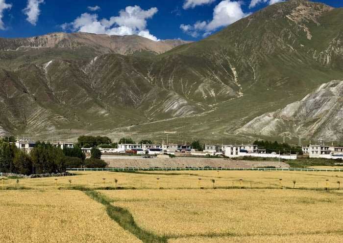 Views along Qinghai-Tibet Railway