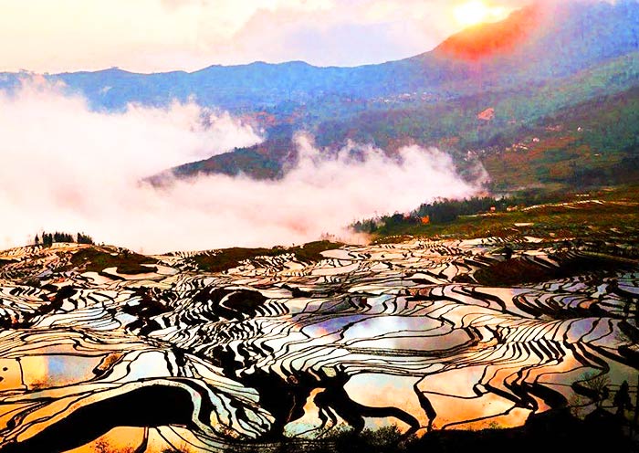 China Winter Tour to Yuanyang Rice Terraces