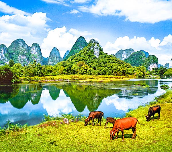 China Tour to Guilin