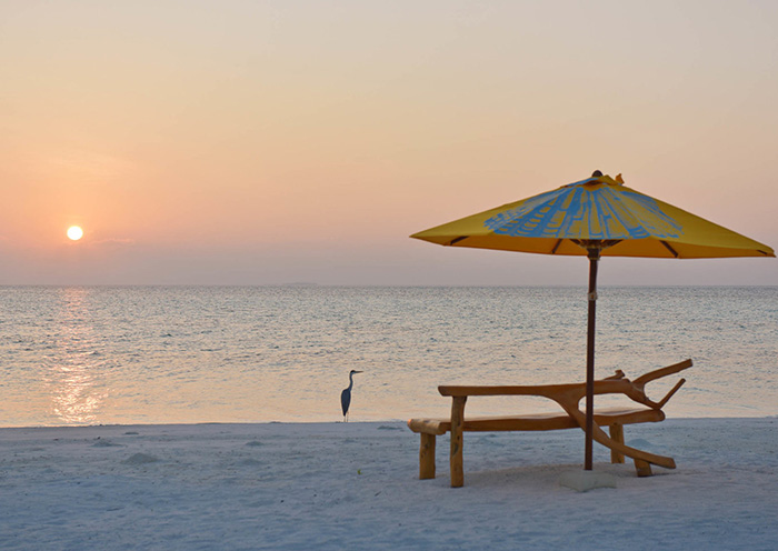 Drift Thelu Veliga Retreat
 Drift Thelu Veliga Retreat