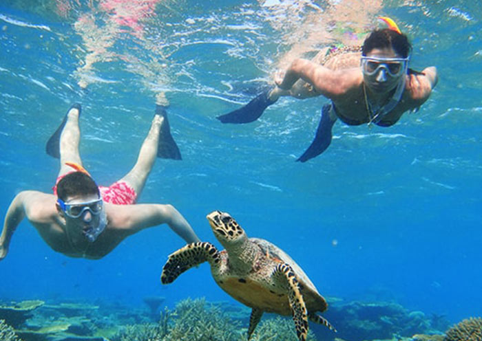 Fihalhohi Resort
 Fihalhohi Resort