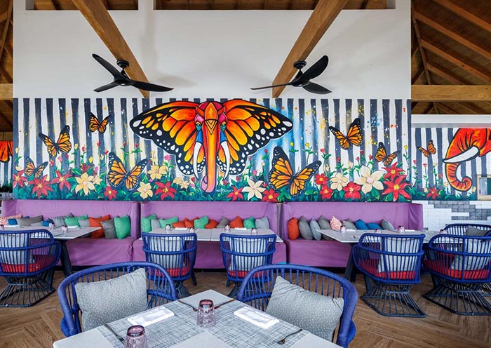 The Elephant And The Butterfly The Elephant And The Butterfly