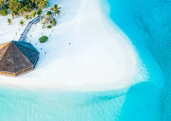 Asian Wok Restaurant  Asian Wok Restaurant