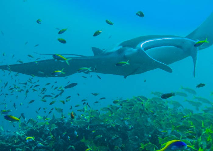 Nakai Dhiggiri Resort, Maldives 
 Nakai Dhiggiri Resort, Maldives