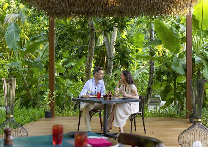 Phat Chameleon Phat Chameleon