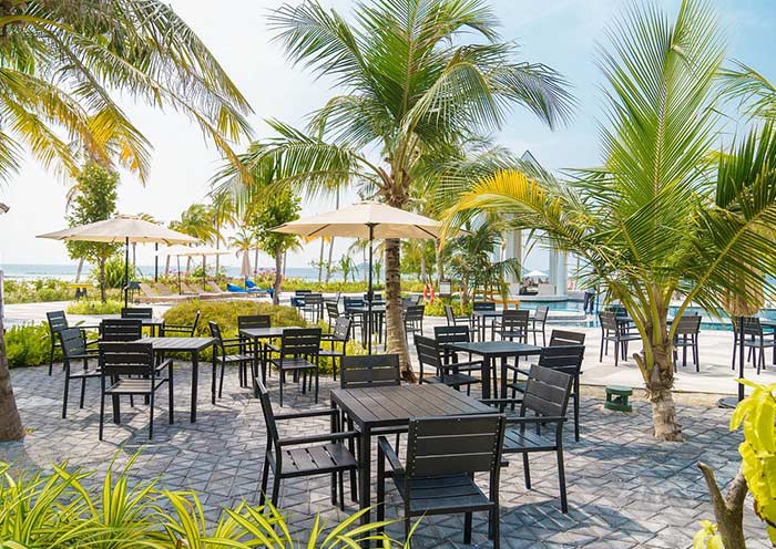 Terra & Mar Terra & Mar