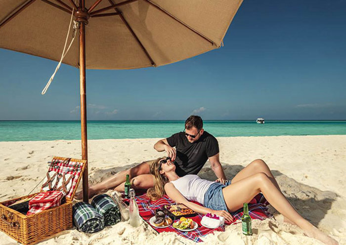 Picnic Happy Time Picnic Happy Time